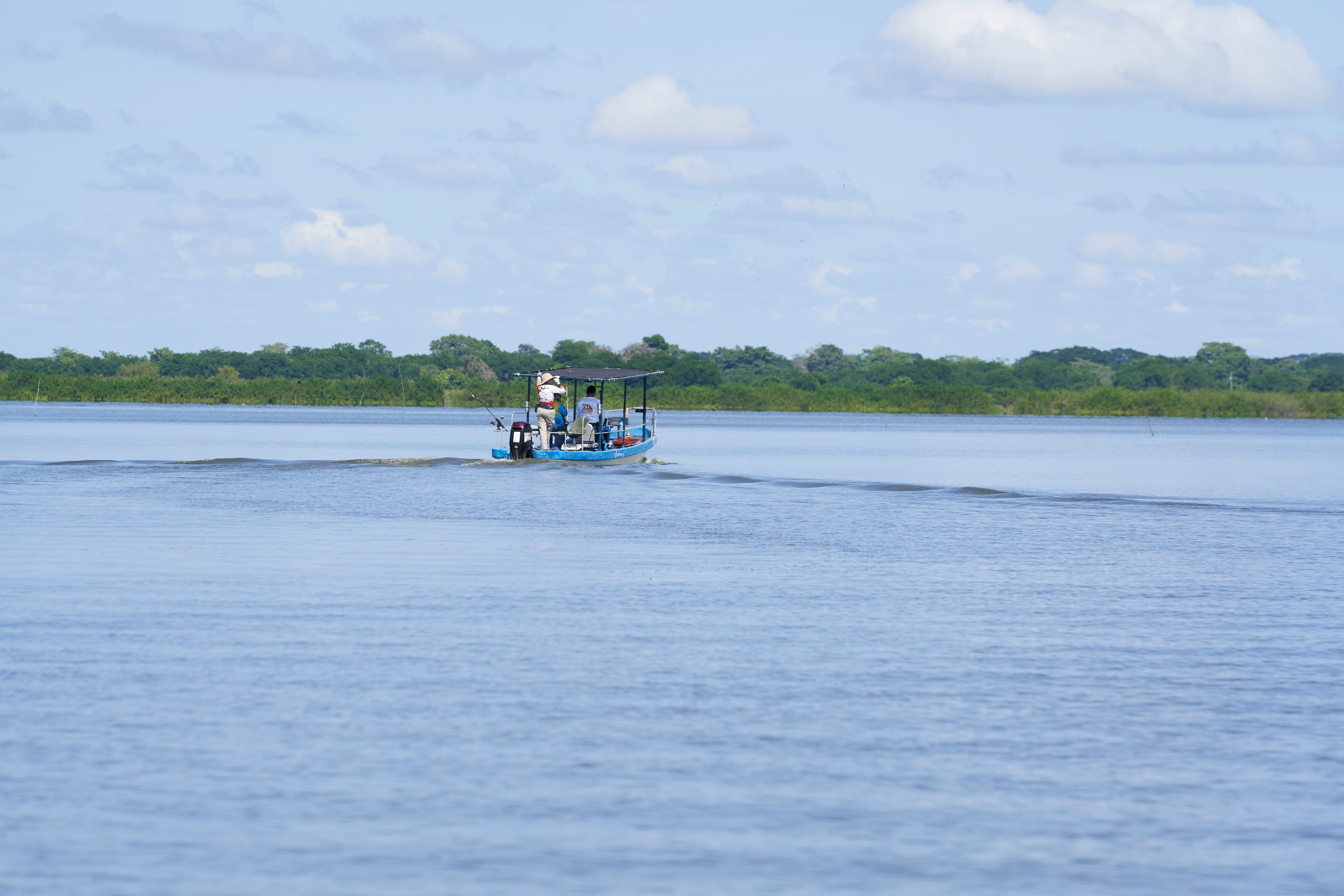Nyerere National Park Tanzania: Boat Safari and Walking Safari Guide