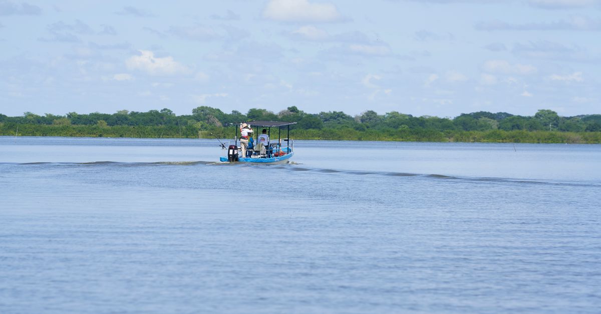 Nyerere National Park Tanzania: Boat Safari and Walking Safari Guide
