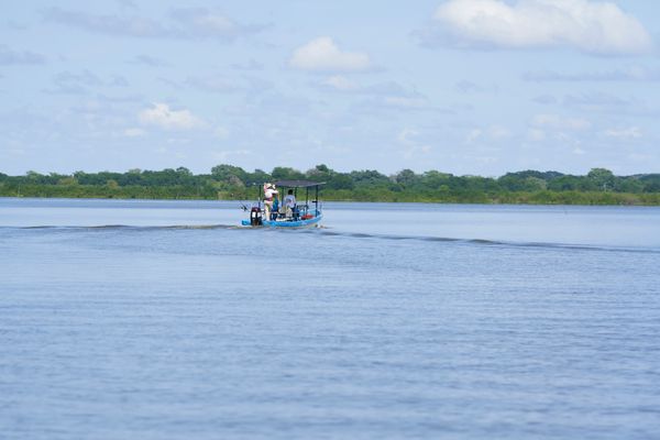 Bentota River Boat Ride