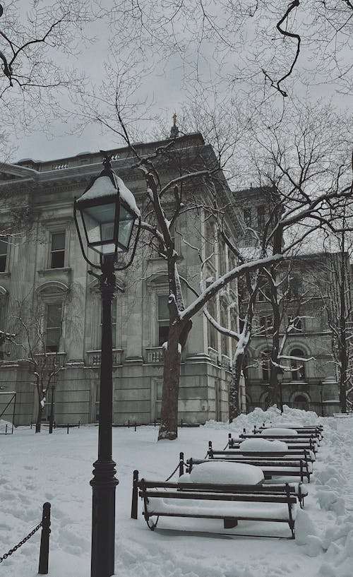 Foto d'estoc gratuïta de arquitectura neoclàssica, bancs, ciutat