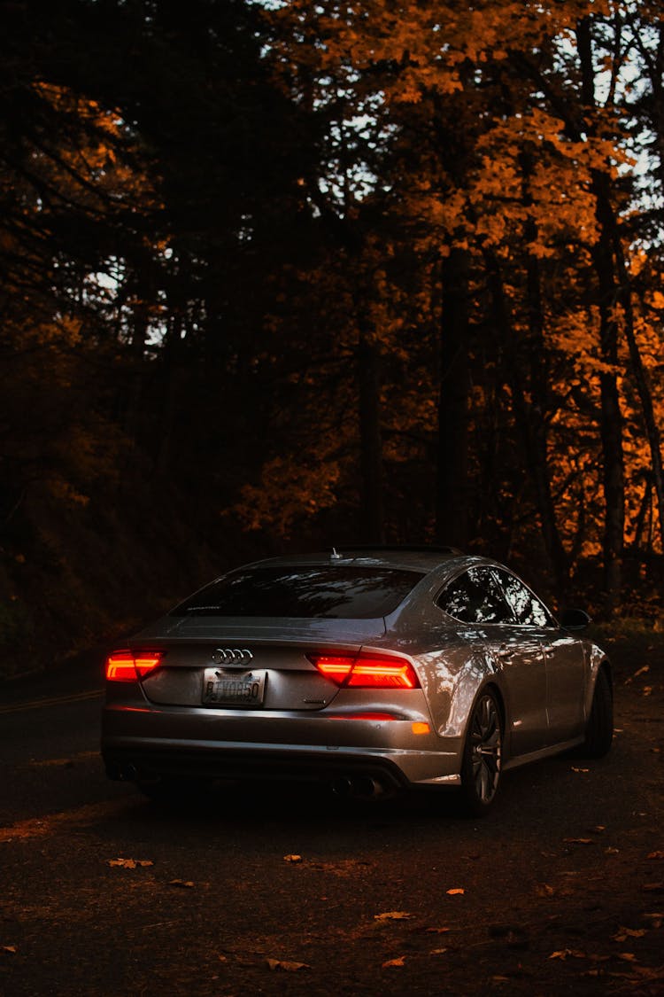 Photo Of A Silver Luxury Car With Red Tail Lights