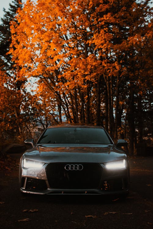 Free An Audi Car Parked Near Yellow Trees Stock Photo