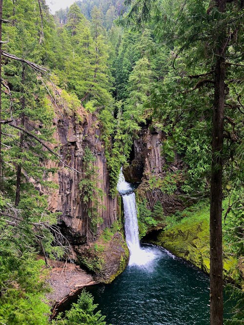 Foto d'estoc gratuïta de a l'aire lliure, aigua, arbres