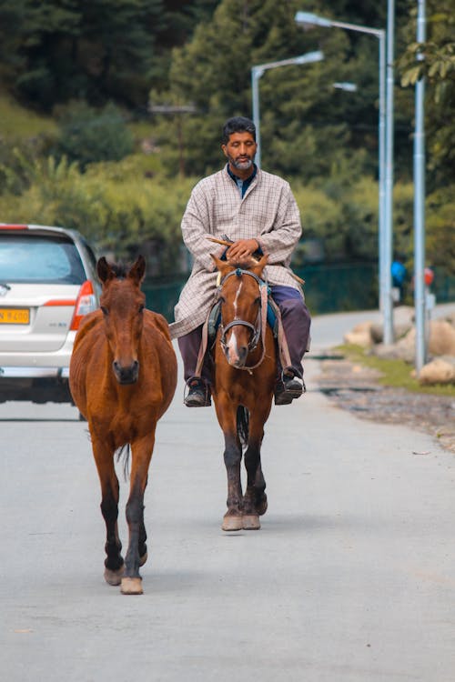 A Bearded Man Riding a Brown Horse on the Road