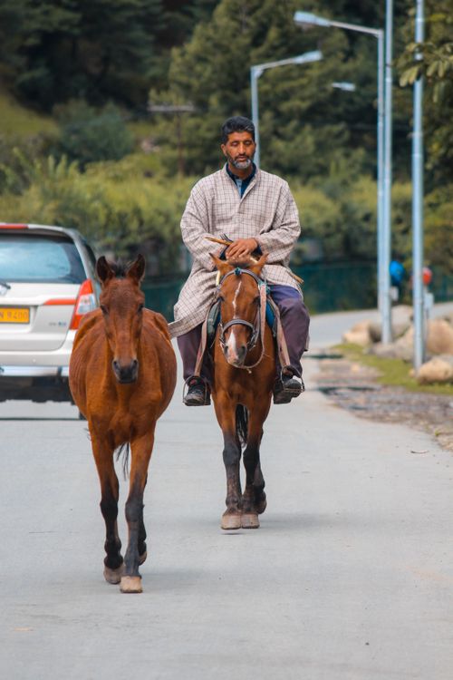 Free A man riding a horse on a quiet road with a horse beside him in a scenic outdoor setting. Stock Photo