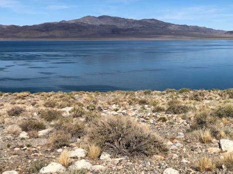 Serene landscape of Walker Lake with mountains and desert vegetation in Nevada.