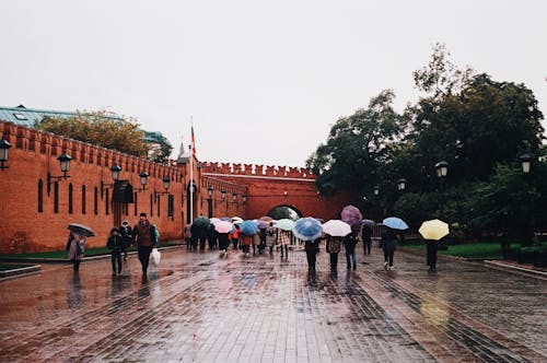 Free Photo of People with Umbrellas Walking During a Rainy Day Stock Photo