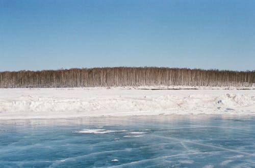 Ücretsiz açık hava, ağaçlar, buz içeren Ücretsiz stok fotoğraf Stok Fotoğraflar