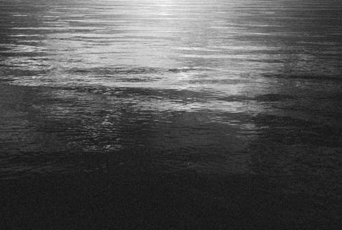 Grayscale Photo of Body of Water