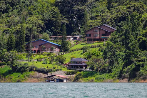 Mansions on Hills in Forest Mountains Landscape