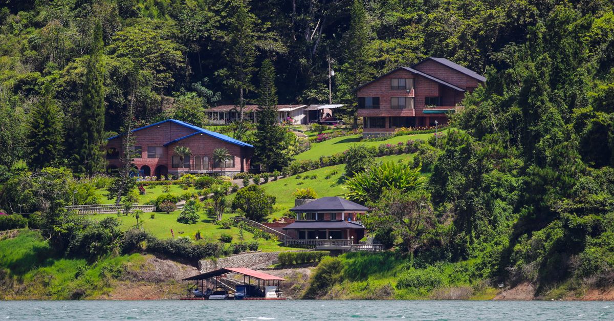 Beautiful lakefront homes nestled in lush forest hills, offering a serene landscape view.