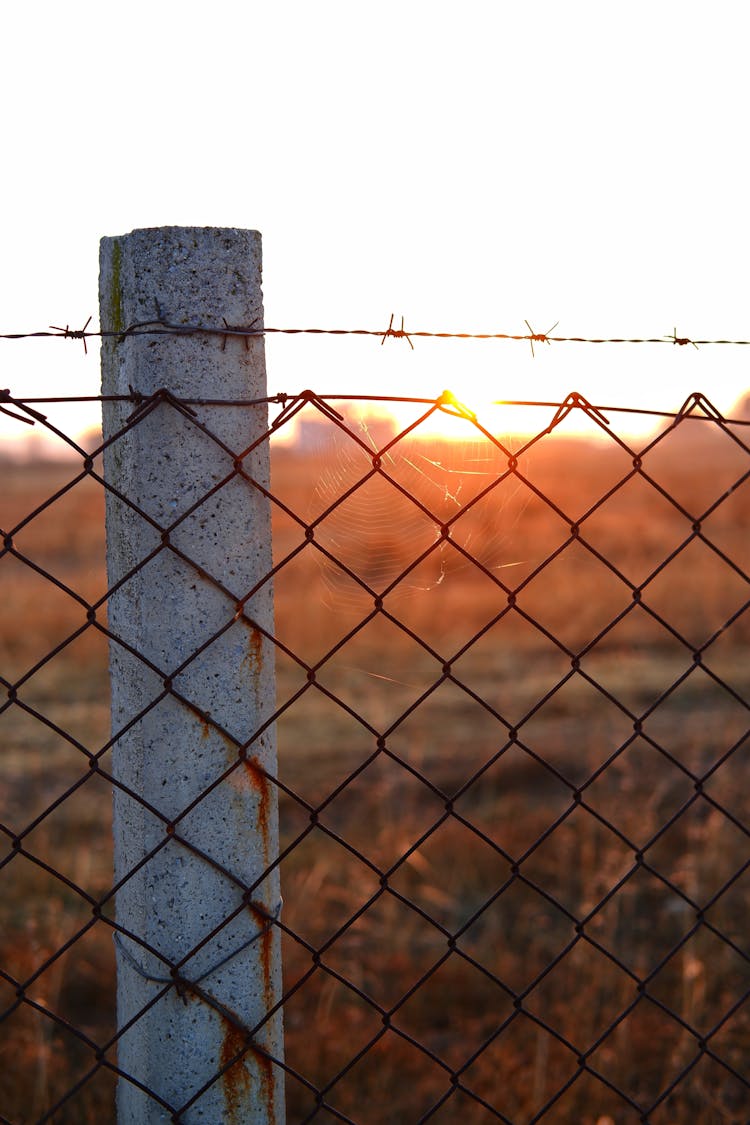 Net Fence In Field On Sunset