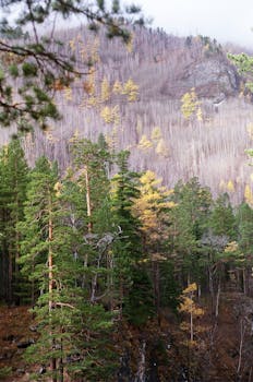 Image by Alyona Pastukhova