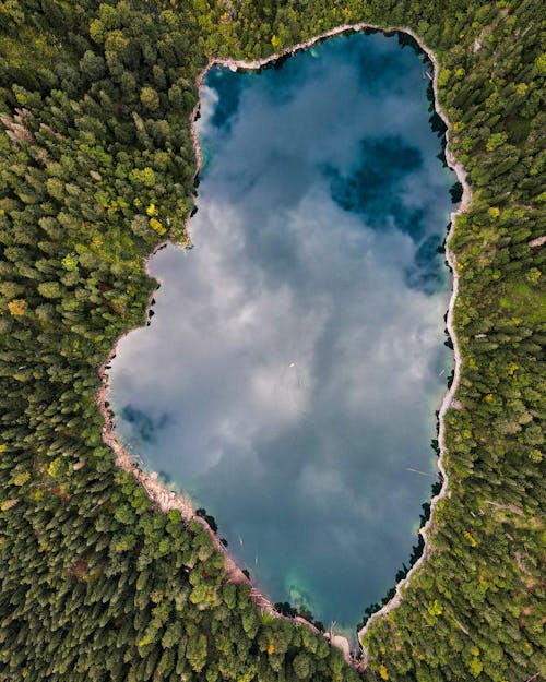 An Above Shot of a Lake in Forest with a Reflection of Sky in It 