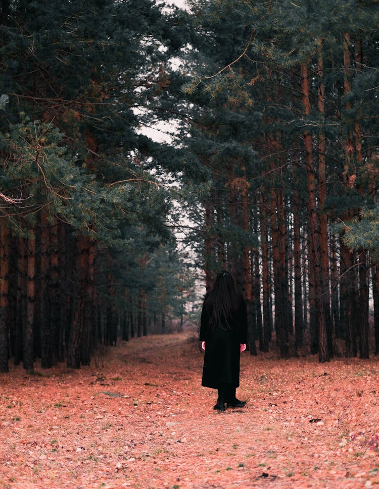 Back Of A Woman With Long Hair Standing On A Forest Road In Autumn