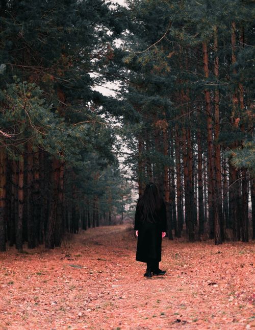 Free A lone woman with long black hair walks through an autumn forest in Bashkortostan, Russia. Stock Photo
