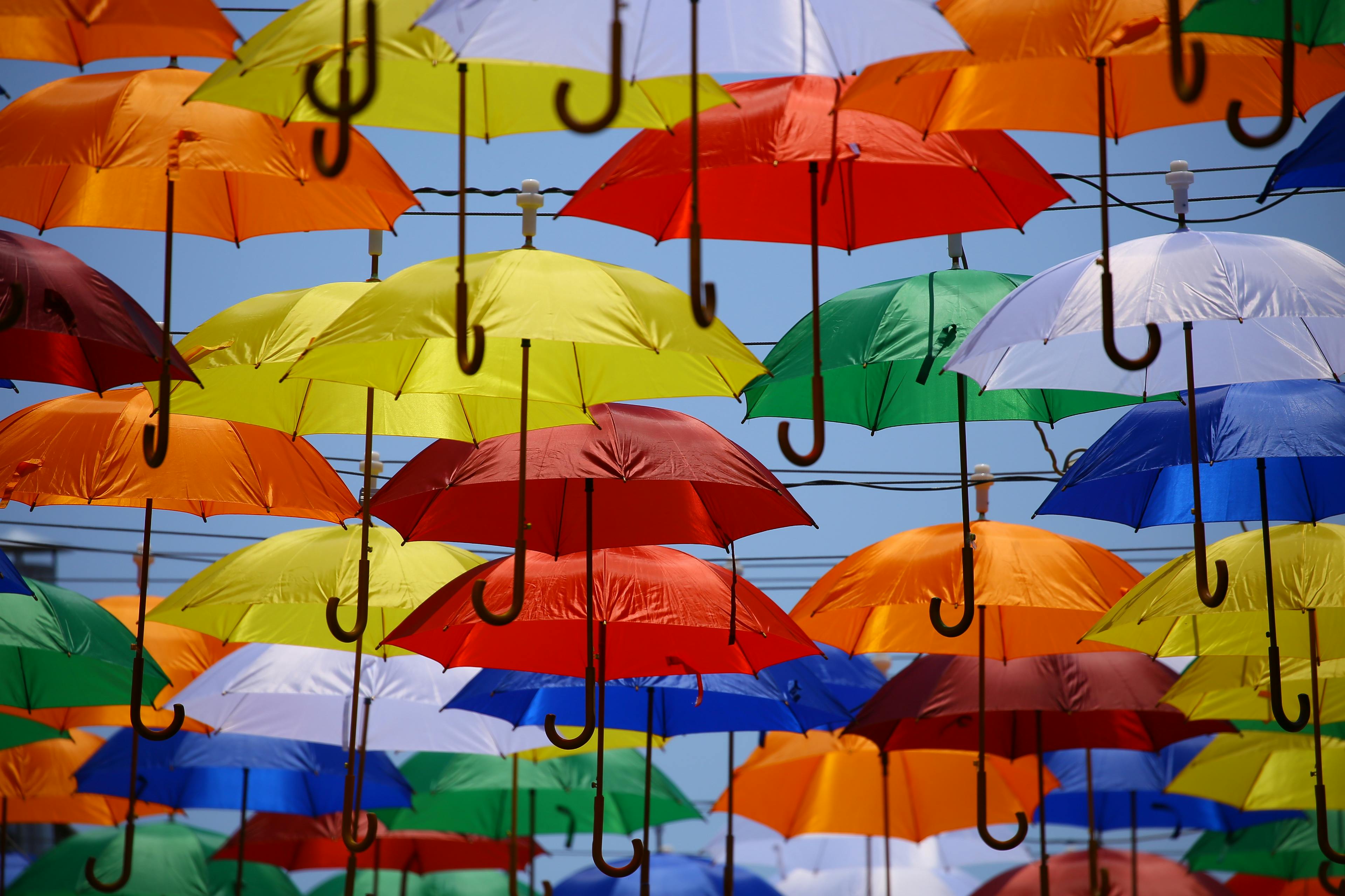 Umbrella Lot · Free Stock Photo