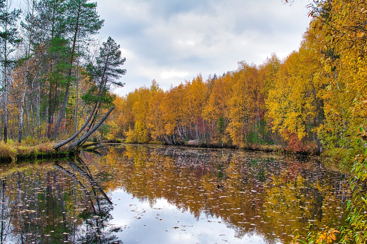 picturesque autumn landscape with reflections of colorful trees in a t