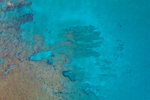 Free  Bottom of Sea Visible on Surface of Blue Water Stock Photo