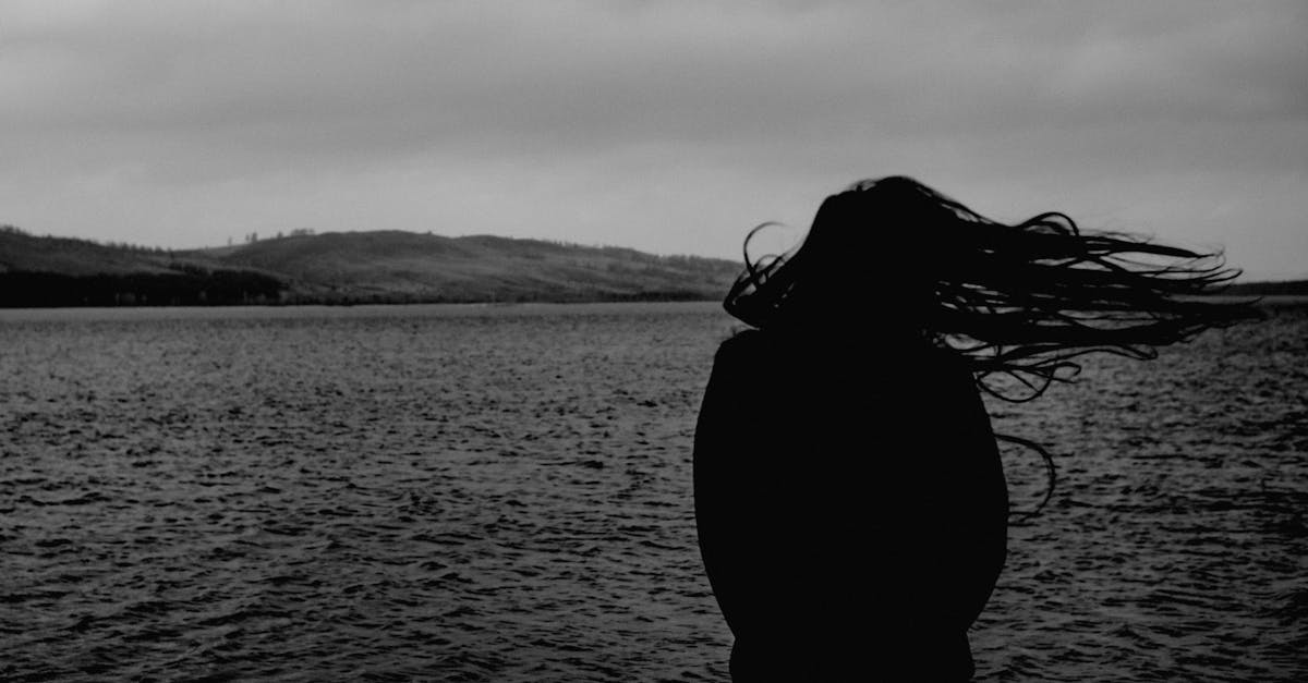 The Last Light of Summer 1 image text