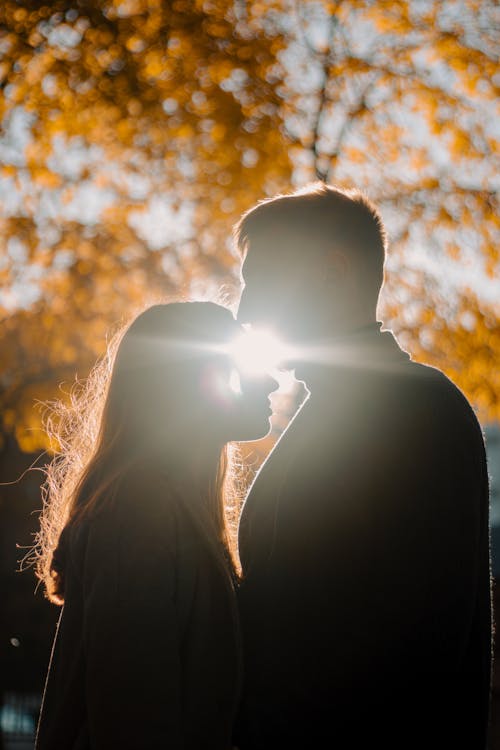 Free Silhouette of Romantic Couple Standing Near an Autumn Tree at Sunset Stock Photo
