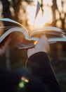 Hand Holding Smartphone and Book