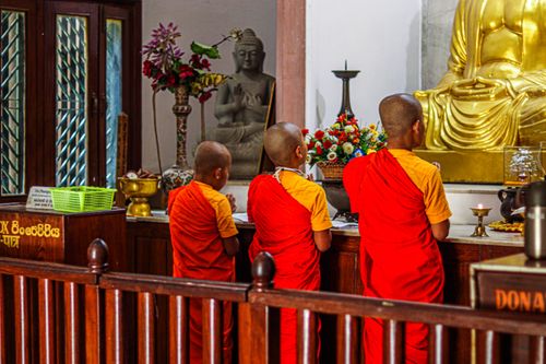 Free Three young monks in red robes praying at a Buddha statue inside a temple, exuding serenity and spirituality. Stock Photo