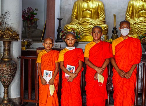 Free Four young Buddhist monks stand solemnly inside a temple, surrounded by golden statues. Stock Photo