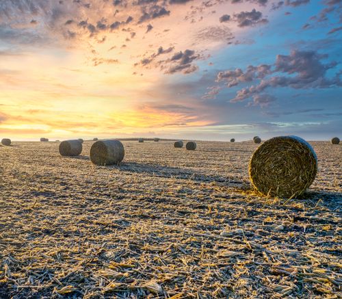 Free Peaceful rural landscape with hay bales under a vibrant sunset sky in Minnesota. Stock Photo