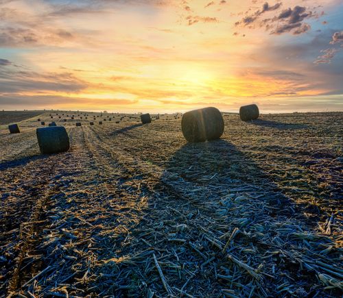 Free Beautiful landscape of hay bales in a field during a vibrant sunset in Minnesota. Stock Photo