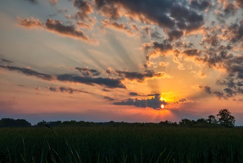 Základová fotografie zdarma na téma hřiště, mraky, obloha