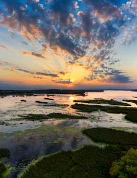 Capture of a serene sunset over lush wetlands in Randolph, MN, showcasing vibrant skies and tranquil waters.