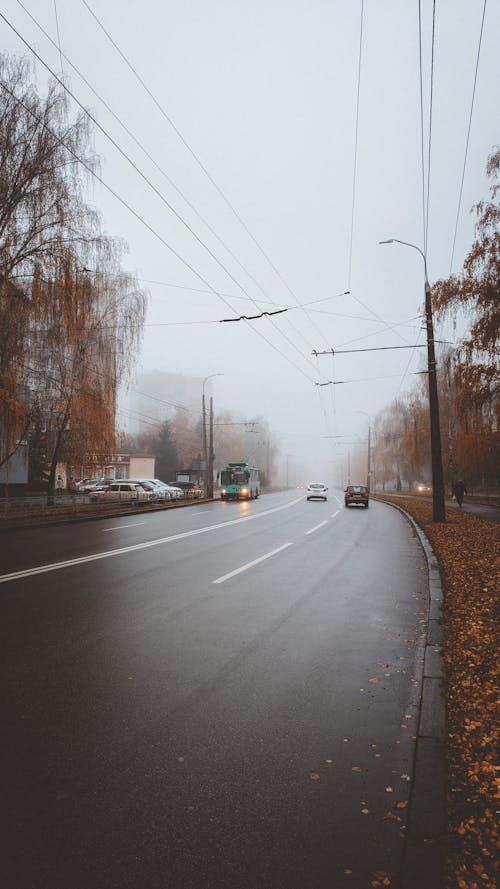 경치, 고속도로, 날씨의 무료 스톡 사진