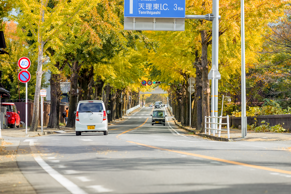 色とりどりの木々が並ぶ絵のような秋の通りと交通を示す看板が見える。