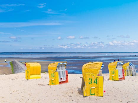 Vibrant yellow beach chairs on a sunny shore with a serene seaside view.