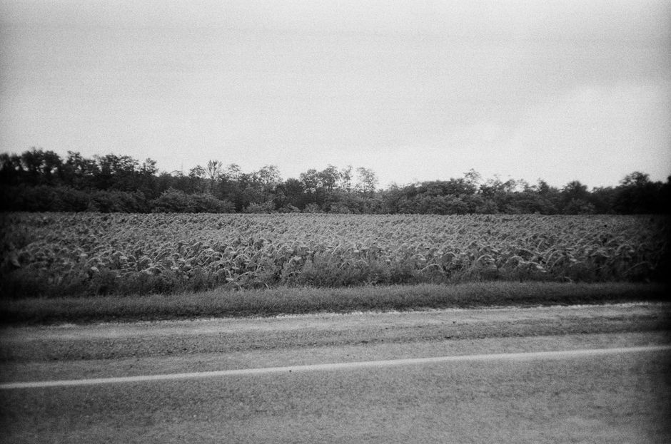 A black and white photograph of a rural field with trees in the background.