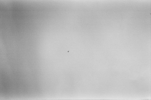 A small airplane in a vast black and white sky, emphasizing minimalism and solitude.