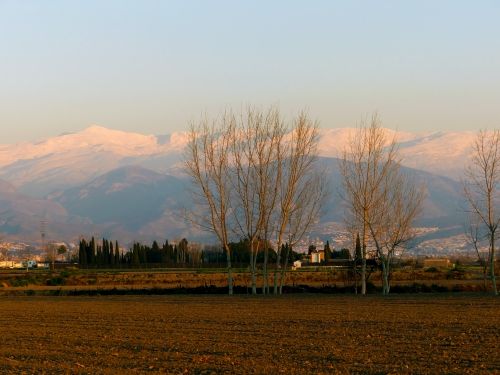 Free Peaceful landscape with snow-capped mountains and leafless trees in a rural field setting. Stock Photo
