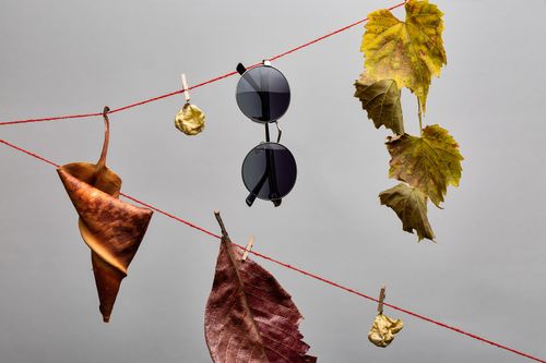 Free Artistic display of sunglasses and autumn leaves on twine, showcasing a modern aesthetic. Stock Photo