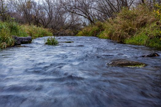 Peaceful forest creek scene with flowing water surrounded by trees and greenery.