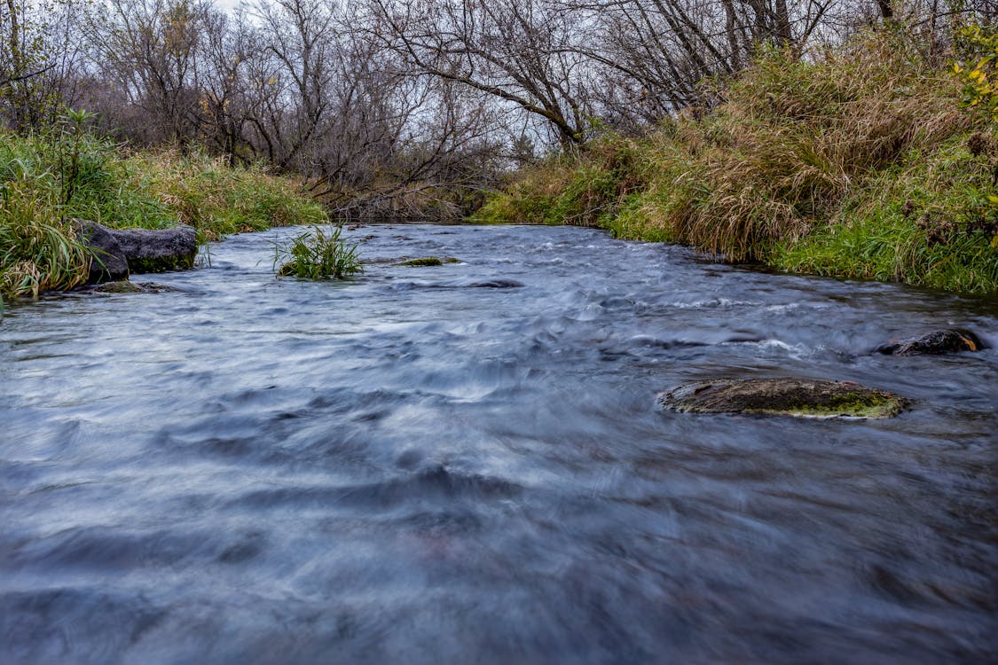 A Flowing River Between Green Grass and Trees