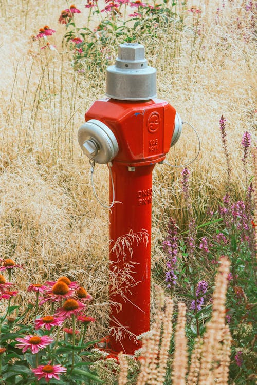 Red Fire Hydrant amidst Flowers