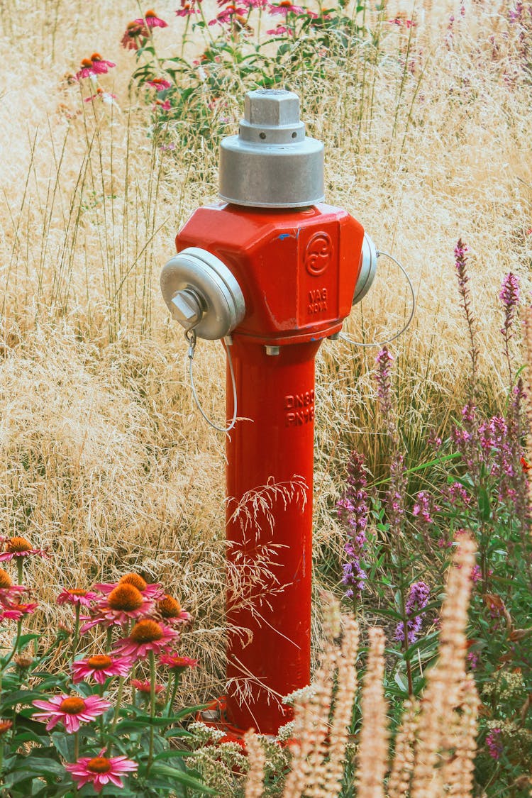 Red Fire Hydrant Amidst Flowers