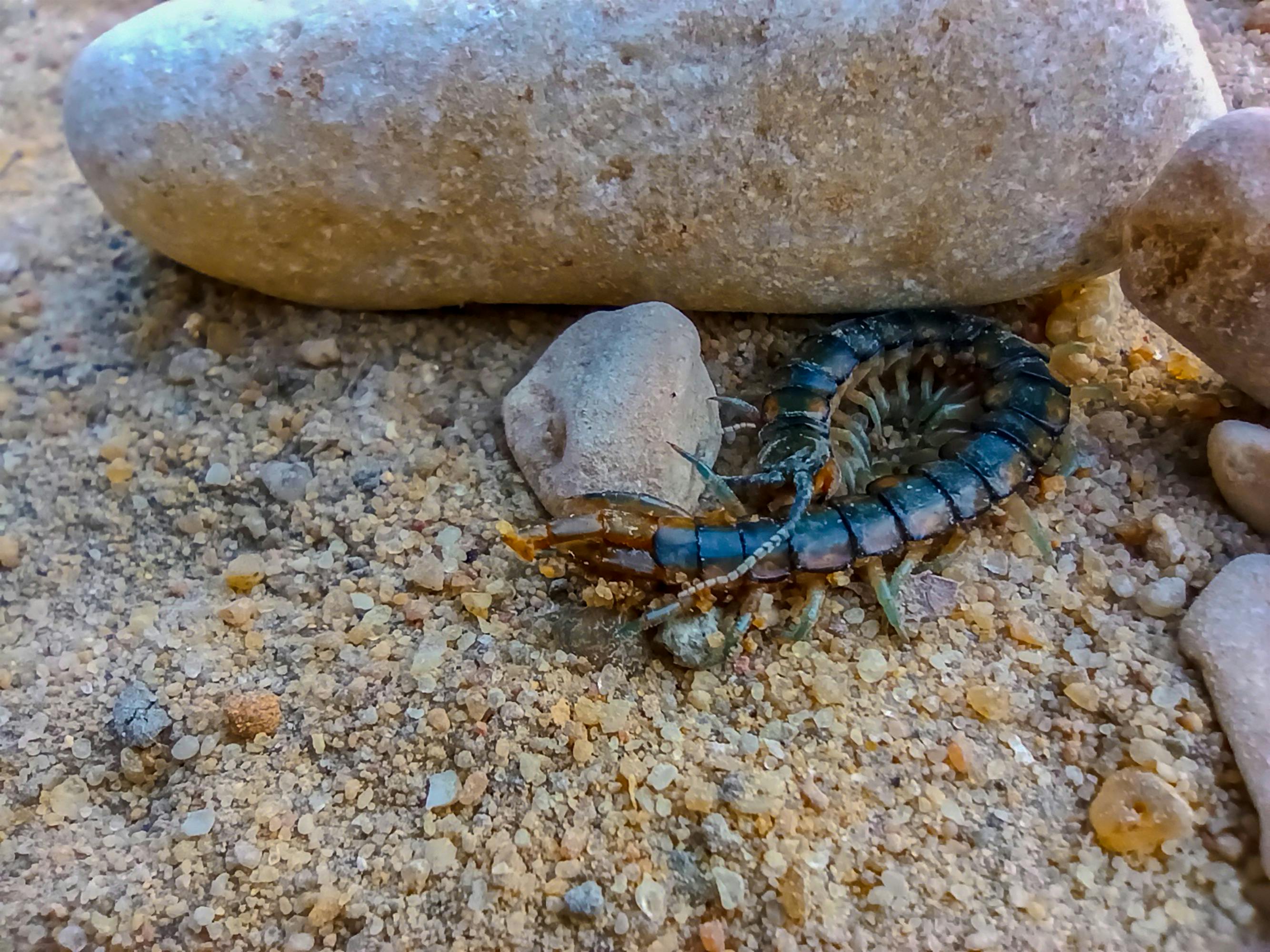 Minimalist Logo Design