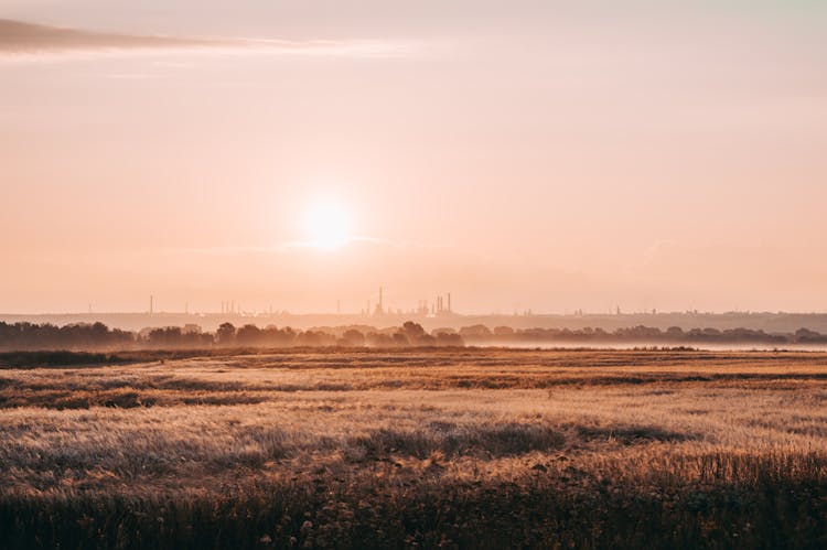 Marsh During Sunset