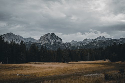 Gratis stockfoto met berg uitzicht, bergbos, bergen