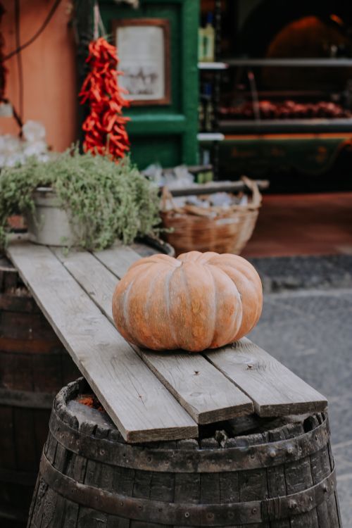 Free A rustic autumn setting featuring a pumpkin on a wooden barrel, with vibrant herbs and dried chillies. Stock Photo