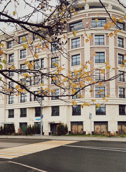 A Concrete Building with Glass Windows Near the Street