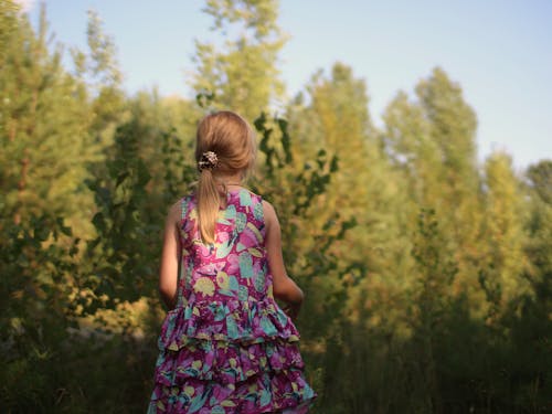 Gratis stockfoto met achteraanzicht, buiten, depth of field