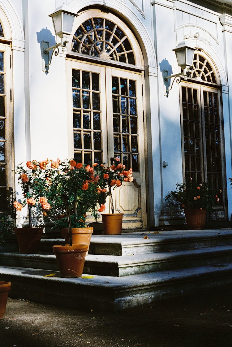 Potted Flowers On The Stairs Near A Wooden Framed Door